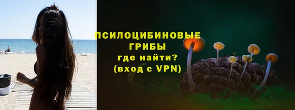 сатива Балабаново
